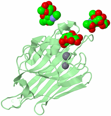 Image Biological Unit 4