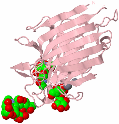 Image Biological Unit 5