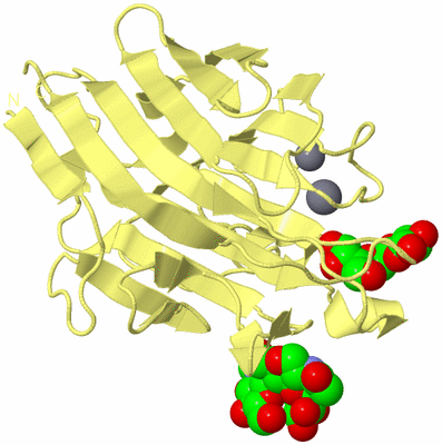 Image Biological Unit 6