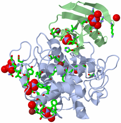 Image Asym./Biol. Unit - sites