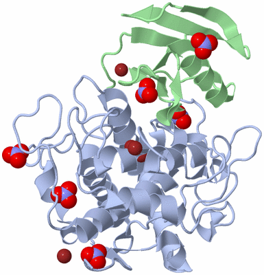 Image Asym./Biol. Unit