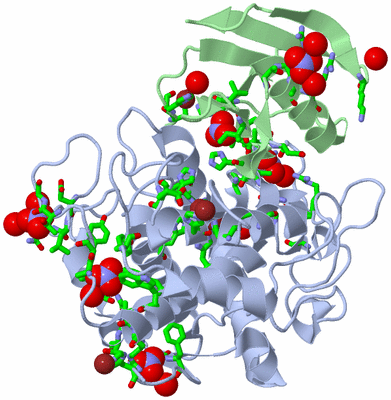 Image Asym./Biol. Unit - sites