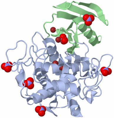 Image Asym./Biol. Unit