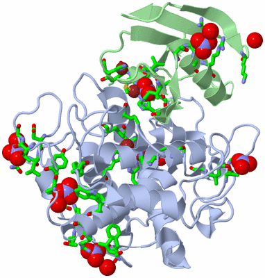 Image Asym./Biol. Unit - sites