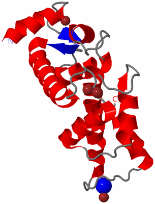 Image Asymmetric Unit