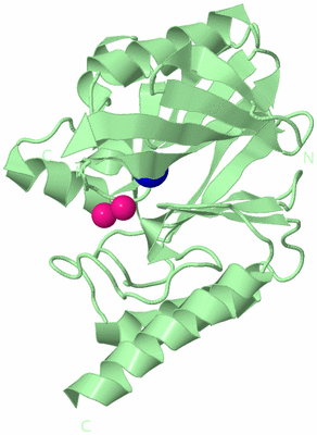 Image Biological Unit 2