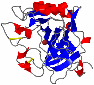 Image Asymmetric Unit