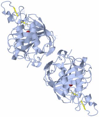 Image Biological Unit 1