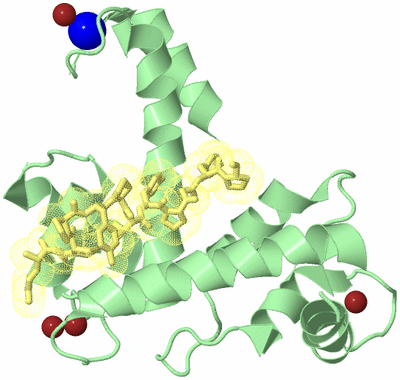 Image Biological Unit 2