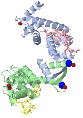 Image Biological Unit 3