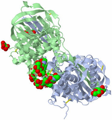 Image Asym./Biol. Unit