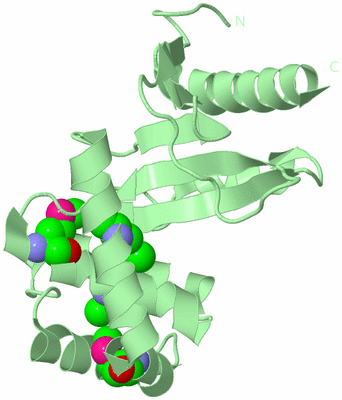 Image Biological Unit 2