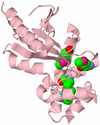 Image Biological Unit 3