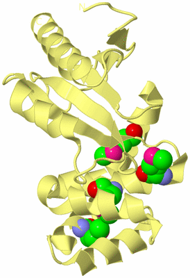 Image Biological Unit 4