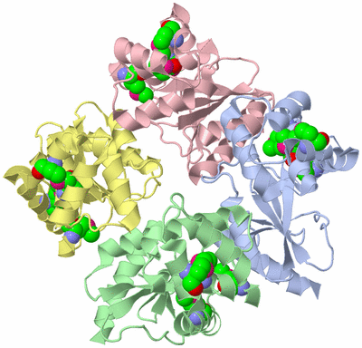 Image Biological Unit 5