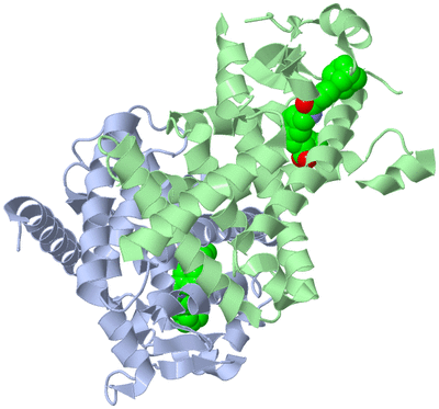 Image Biological Unit 1