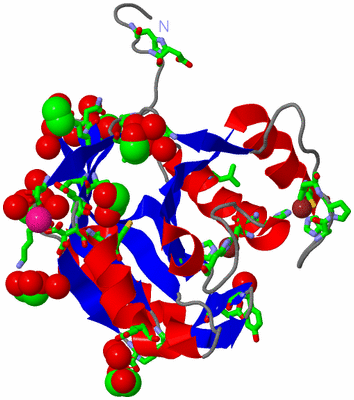 Image Asym./Biol. Unit - sites