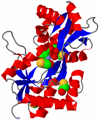 Image Asym./Biol. Unit