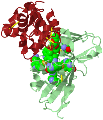 Image Biological Unit 2