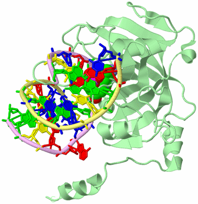 Image Biological Unit 1