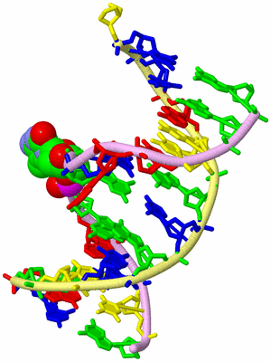 Image Biological Unit 3