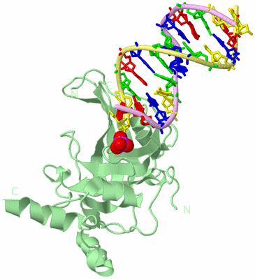 Image Biological Unit 1