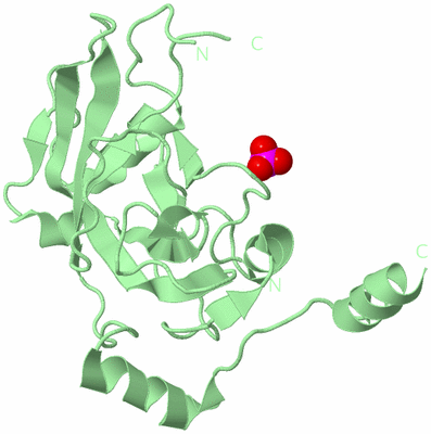 Image Biological Unit 3