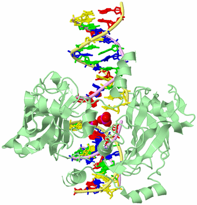 Image Biological Unit 4