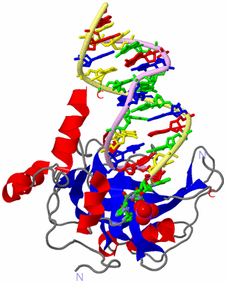 Image Asym. Unit - sites