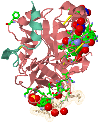 Image Asym./Biol. Unit - sites