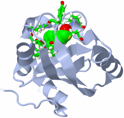 Image Biol. Unit 1 - sites