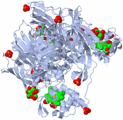 Image Biological Unit 1