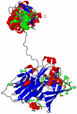 Image Asym. Unit - sites