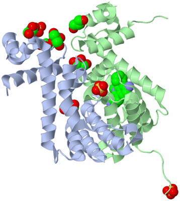 Image Biological Unit 1