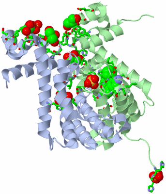 Image Biol. Unit 1 - sites