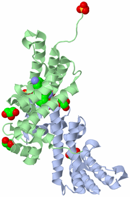 Image Biological Unit 2