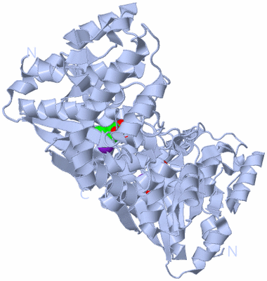 Image Biological Unit 1