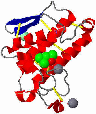 Image Asym./Biol. Unit