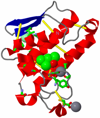 Image Asym./Biol. Unit - sites