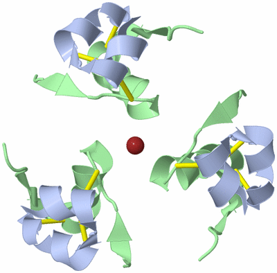 Image Biological Unit 1