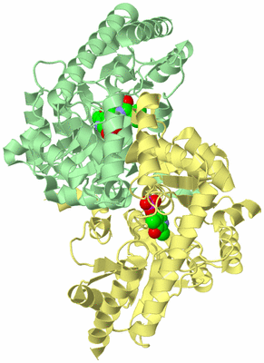 Image Biological Unit 2