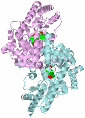 Image Biological Unit 3