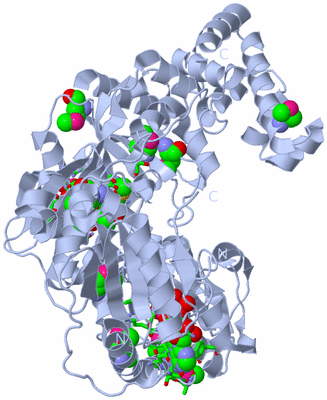 Image Biol. Unit 1 - sites