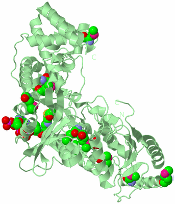 Image Biological Unit 2