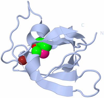 Image Biological Unit 1