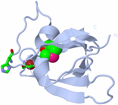 Image Biol. Unit 1 - sites