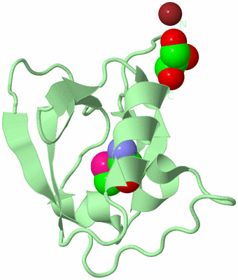 Image Biological Unit 2