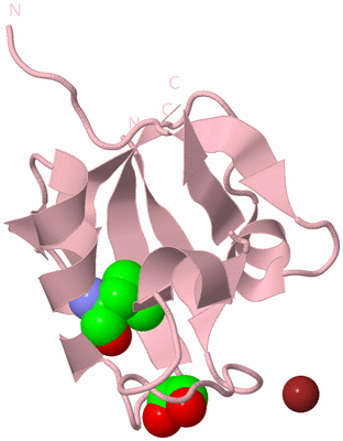 Image Biological Unit 3