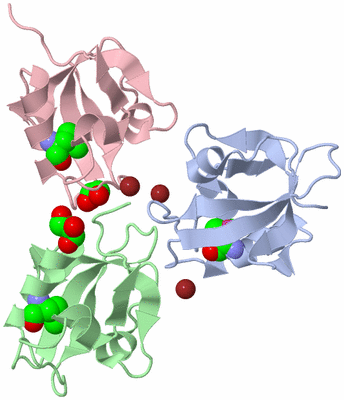 Image Biological Unit 4