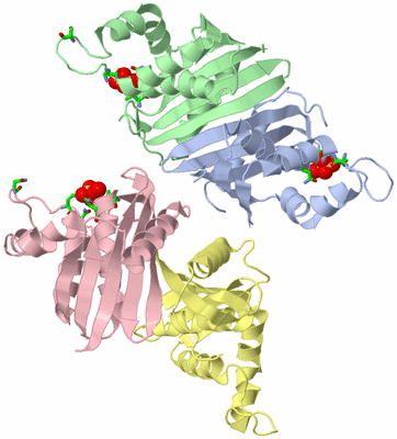 Image Asym./Biol. Unit - sites